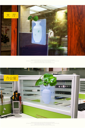 Novetly Design Magic Vase For The Home Decoration
