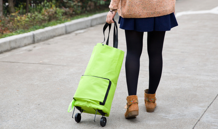 Portable collapsible tug bag